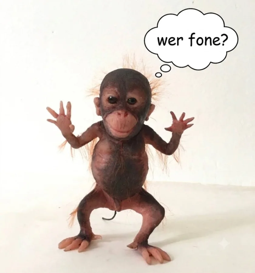 WER FONE? $NOFONE